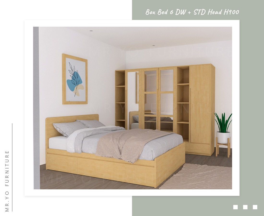 Box Bed 6 DW + STD Head H900_11zon